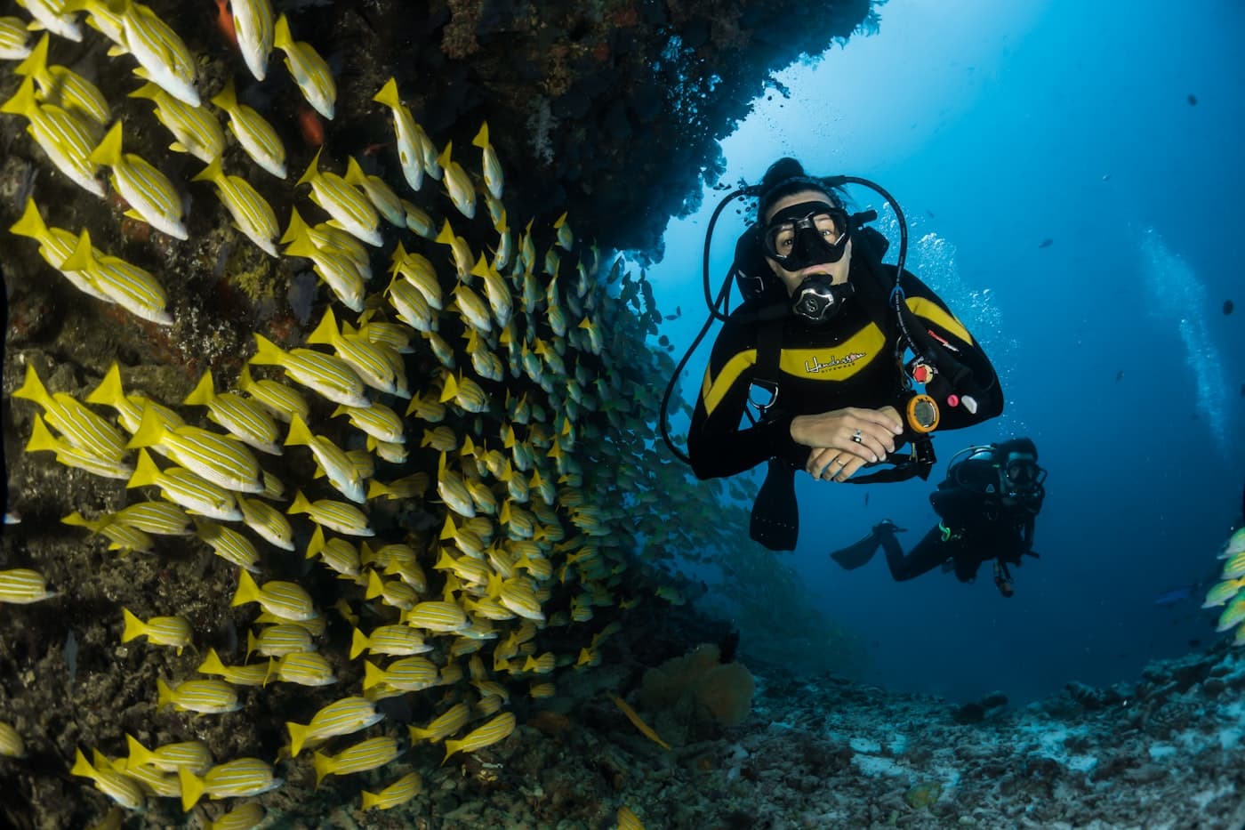 A diver alongside a school of fish over a reef